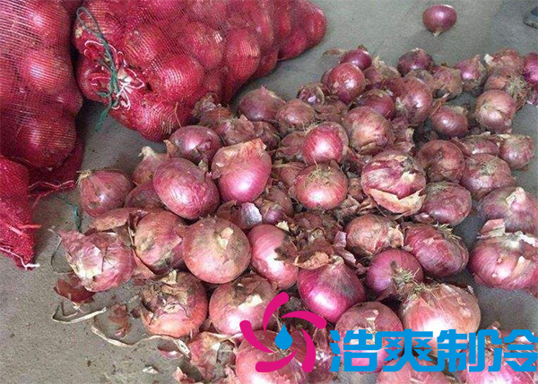 建一個(gè)洋蔥保鮮庫(kù)要多少錢呢？_浩爽制冷