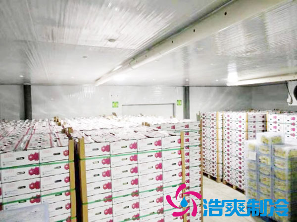 建造一個(gè)火龍果冷庫(kù)要花多少錢？-浩爽制冷