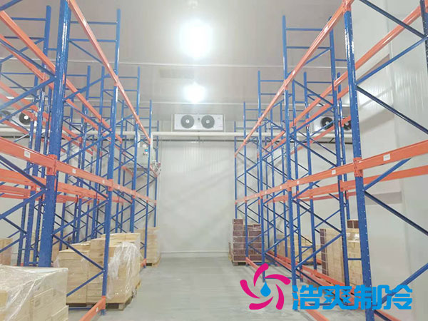 如何選擇專業(yè)的生鮮冷凍物流冷庫公司？-浩爽制冷