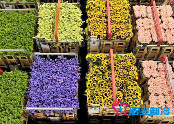 花卉冷庫安裝預(yù)算造價多少錢？-浩爽制冷