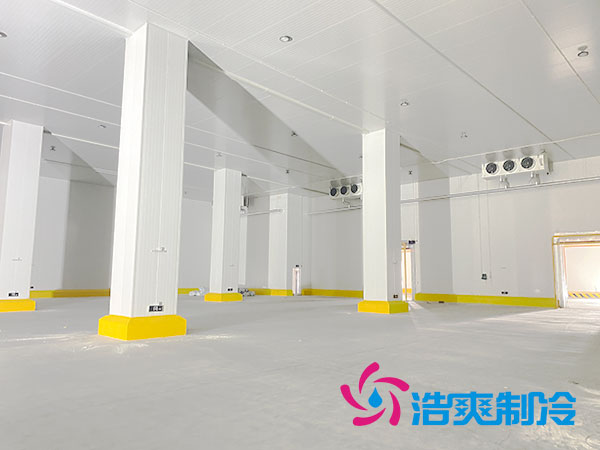湖南蔬菜物流冷庫造價安裝費用多少錢？-浩爽制冷