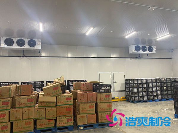 衡陽大型水果冷庫造價(jià)多少錢一平方？-浩爽制冷
