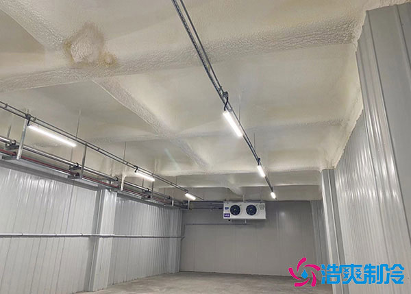 低溫冷庫(kù)建造用風(fēng)冷好還是排管好？.jpg