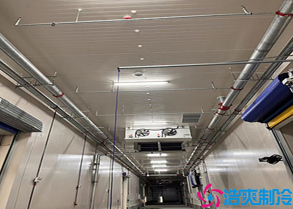 500平方不同類型冷庫(kù)建造多少錢(qián)？.jpg