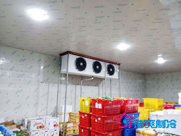 果品冷庫設(shè)計(jì)與安裝造價(jià)如何計(jì)算？-浩爽制冷