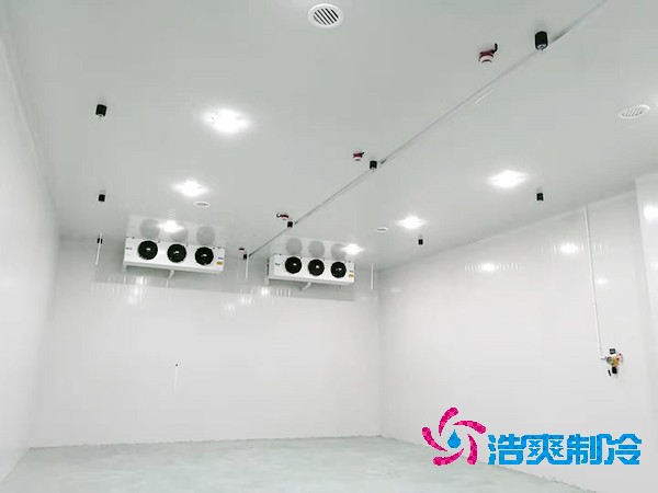 冷庫造價揭秘：300平方米到底要花多少錢？-浩爽制冷