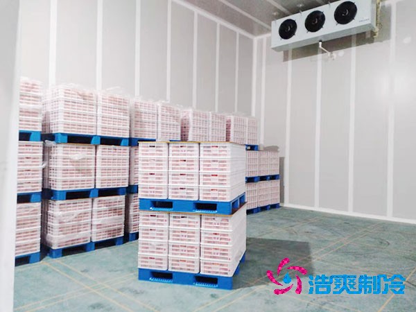 西瓜保鮮冷庫(kù)建造價(jià)格