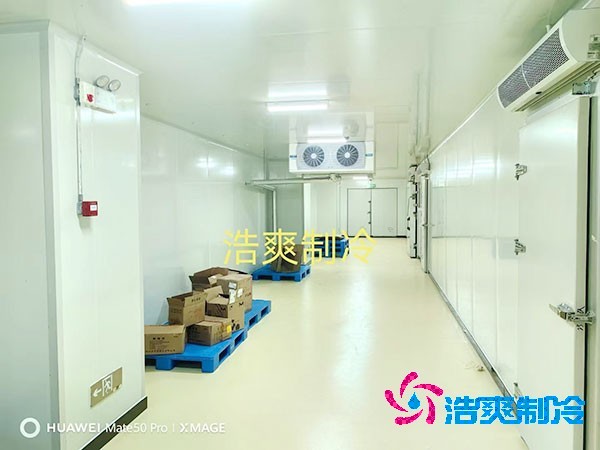 荔枝冷庫安裝價(jià)格多少錢一平方米？荔枝冷庫可以放多久-浩爽制冷