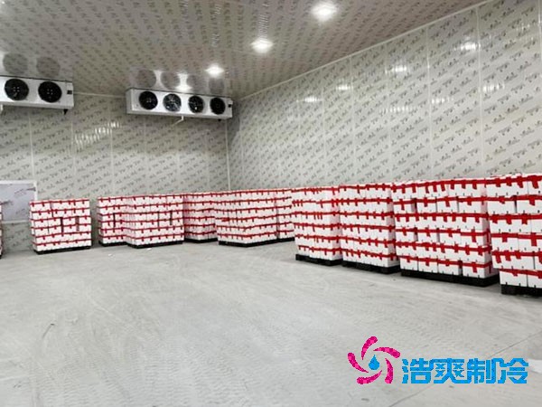 芭樂果保鮮冷庫安裝造價多少錢？芭樂果在冷庫能放多久？-浩爽制冷