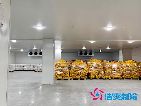 建一個蔬菜冷庫造價需要多少錢？-浩爽制冷