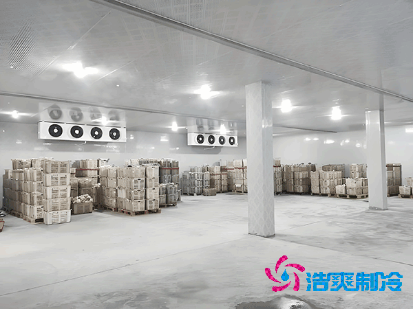 食品冷凍庫(kù)安裝